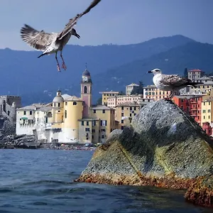 Apartment Il Veliero, Camogli